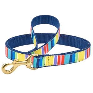 Up Country Colorful Stripe Dog Lead - Mutts & Co.