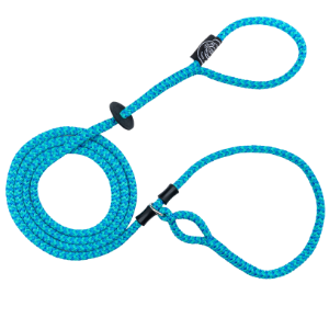 Harness Lead Blue/Turquoise - Mutts & Co.