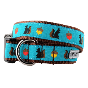 The Worthy Dog Squirrelly Dog Collar - Mutts & Co.