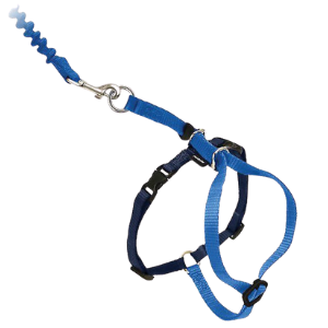 PetSafe Come With Me Kitty Harness & Bungee Cat Leash Royal Blue - Mutts & Co.