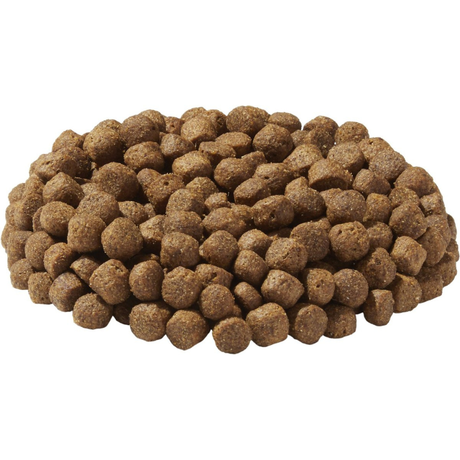 Dr. Gary s Best Breed Holistic Senior Reduced Calorie Dry Dog Food