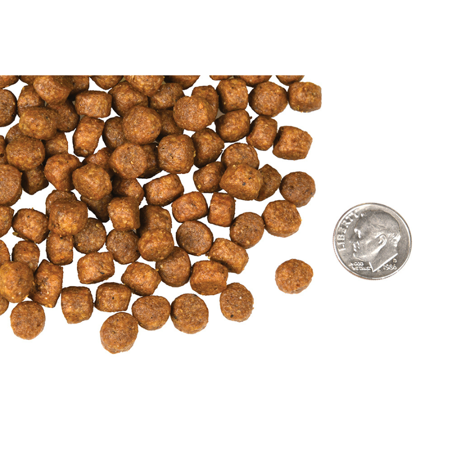 Fromm Four Star Grain Free Beef Frittata Veg Grain Free Dog Food