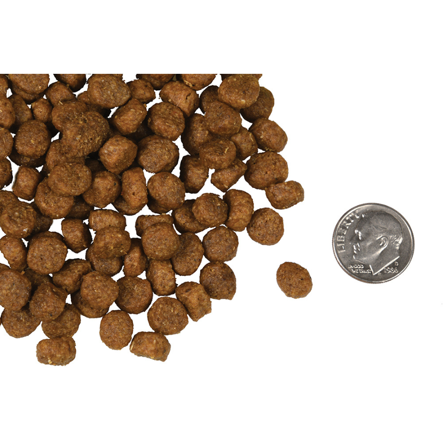 Fromm Four Star Salmon A La Veg Dog Food