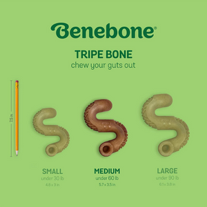 Benebone Tripe Flavored Bone Dog Chew Toy - Mutts & Co.