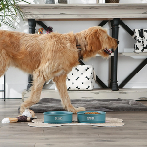 Bone Dry Pet Bowl Drinks Teal - Mutts & Co.