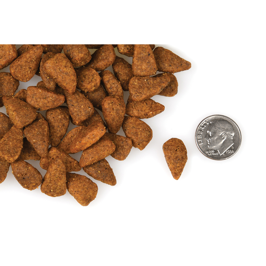 Fromm Four Star Chicken Au Frommage Grain Free Dog Food