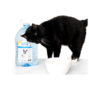 CatWater pH Balanced Urinary Support Cat Water by VetWater - Mutts & Co.