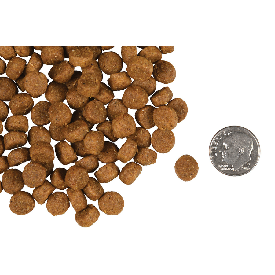 Fromm gold small breed dog food cheap