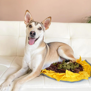 Injoya Sunflower Snuffle Feeding Mat For Dogs - Mutts & Co.