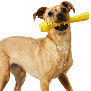 Project Hive Pet Company Fetch Stick Dog Toy - Mutts & Co.