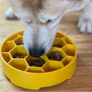 Messy Mutts Interactive Slow Dog Feeder
