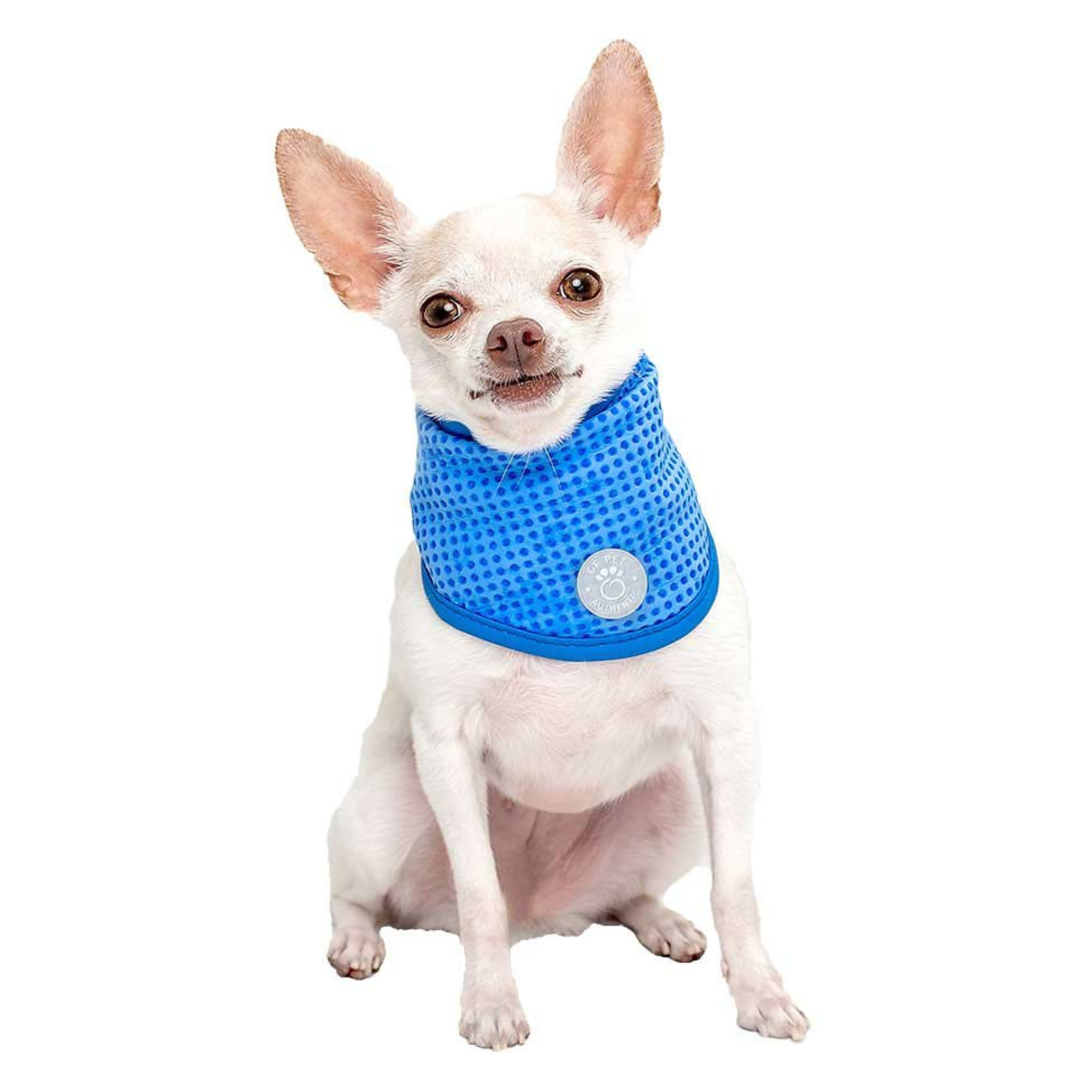 GF Pet Cooling Ice Band for Dogs