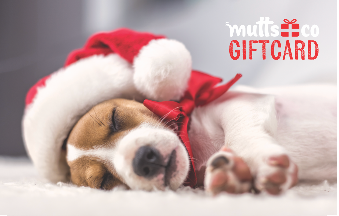 Mutts & Co. Holiday eGift Card - Mutts & Co.