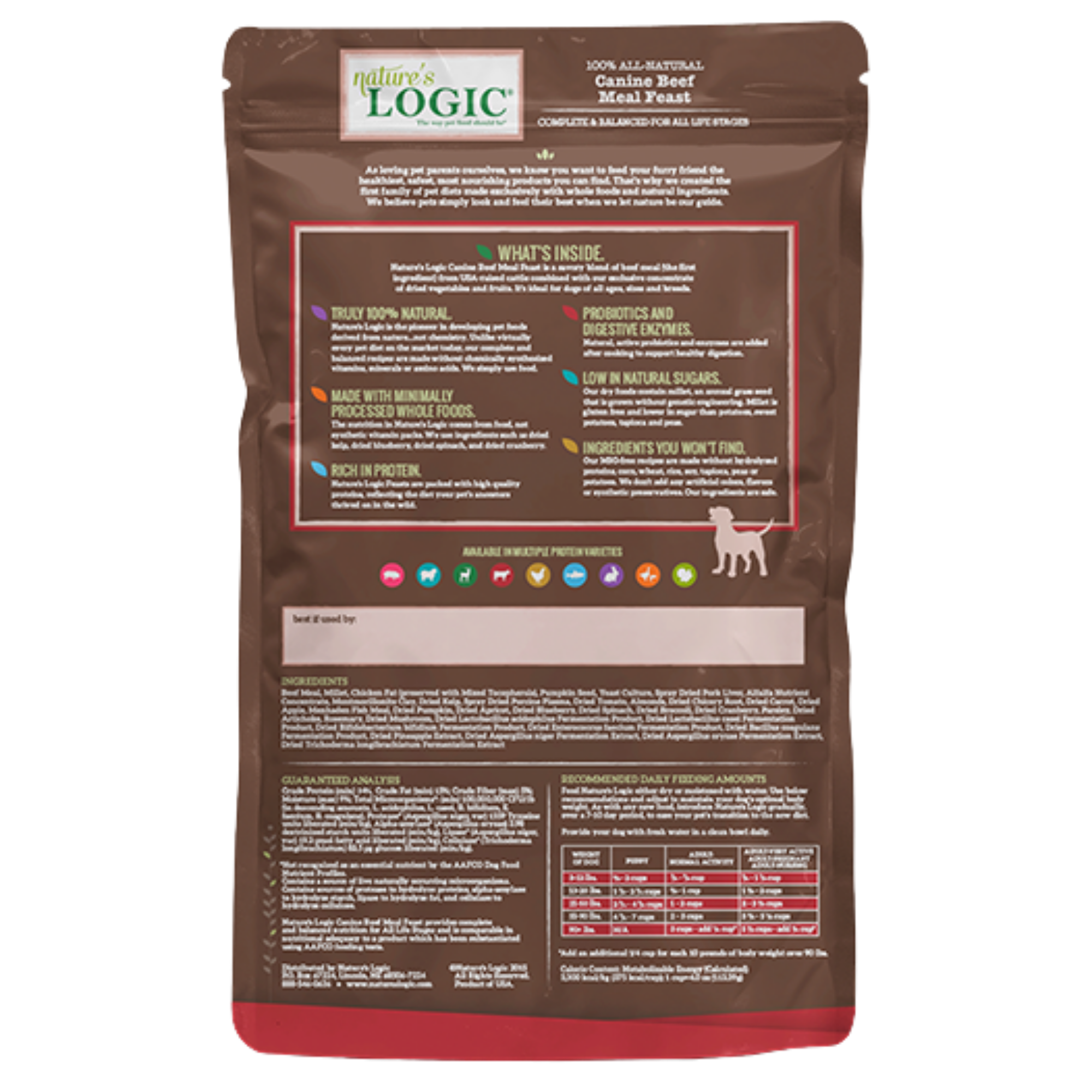 Nature s Logic Beef Meal Feast Dry Dog Food 4.4 lb