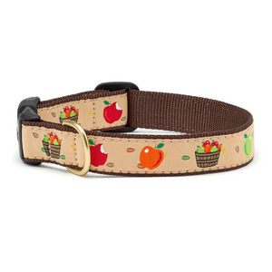 Up Country Apple Of My Eye Dog Collar - Mutts & Co.