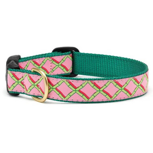 Up Country Coral Gables Dog Collar - Mutts & Co.