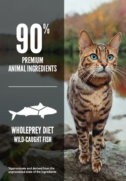 Orijen Six Fish Grain-Free Formula Dry Cat Food - Mutts & Co.