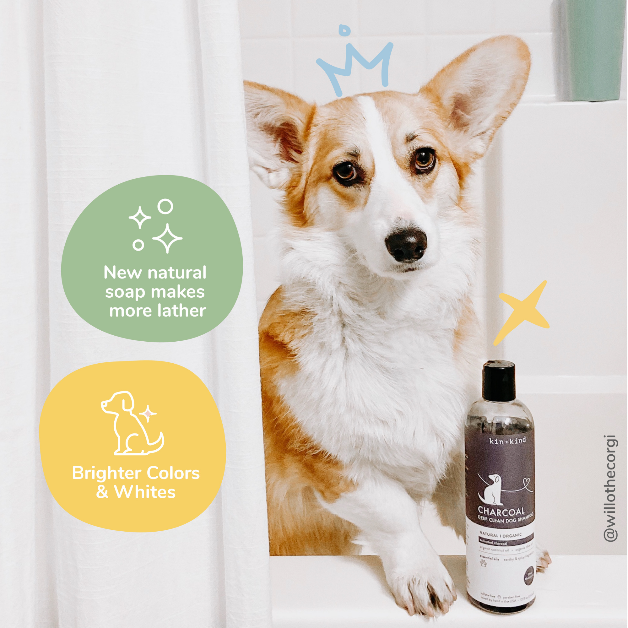 Kin + Kind Charcoal Deep Clean Natural Shampoo for Dogs Patchouli, 12 oz - Mutts & Co.