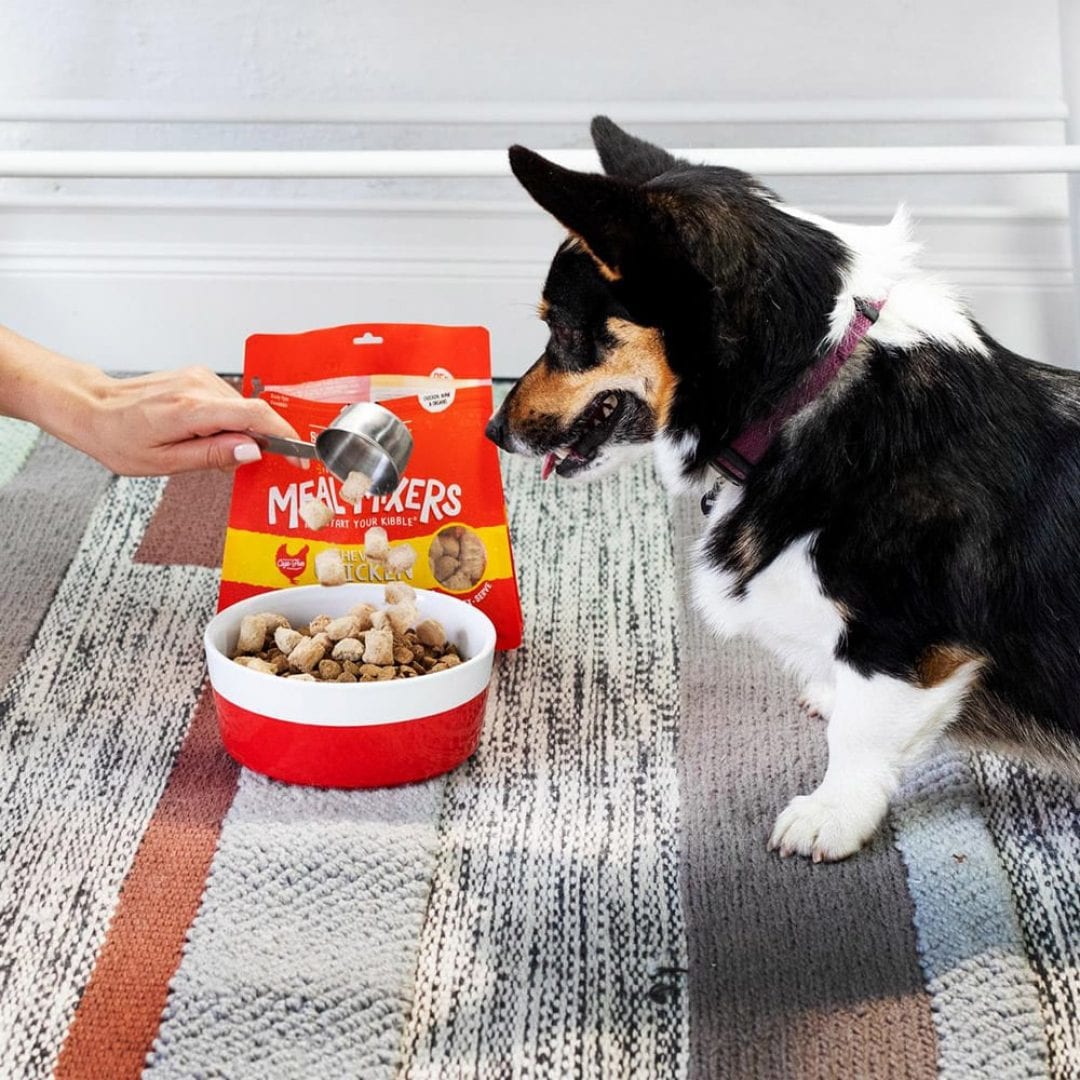 Stella & Chewy's Meal Mixers Chewy's Chicken Freeze-Dried Dog Food Topper - Mutts & Co.