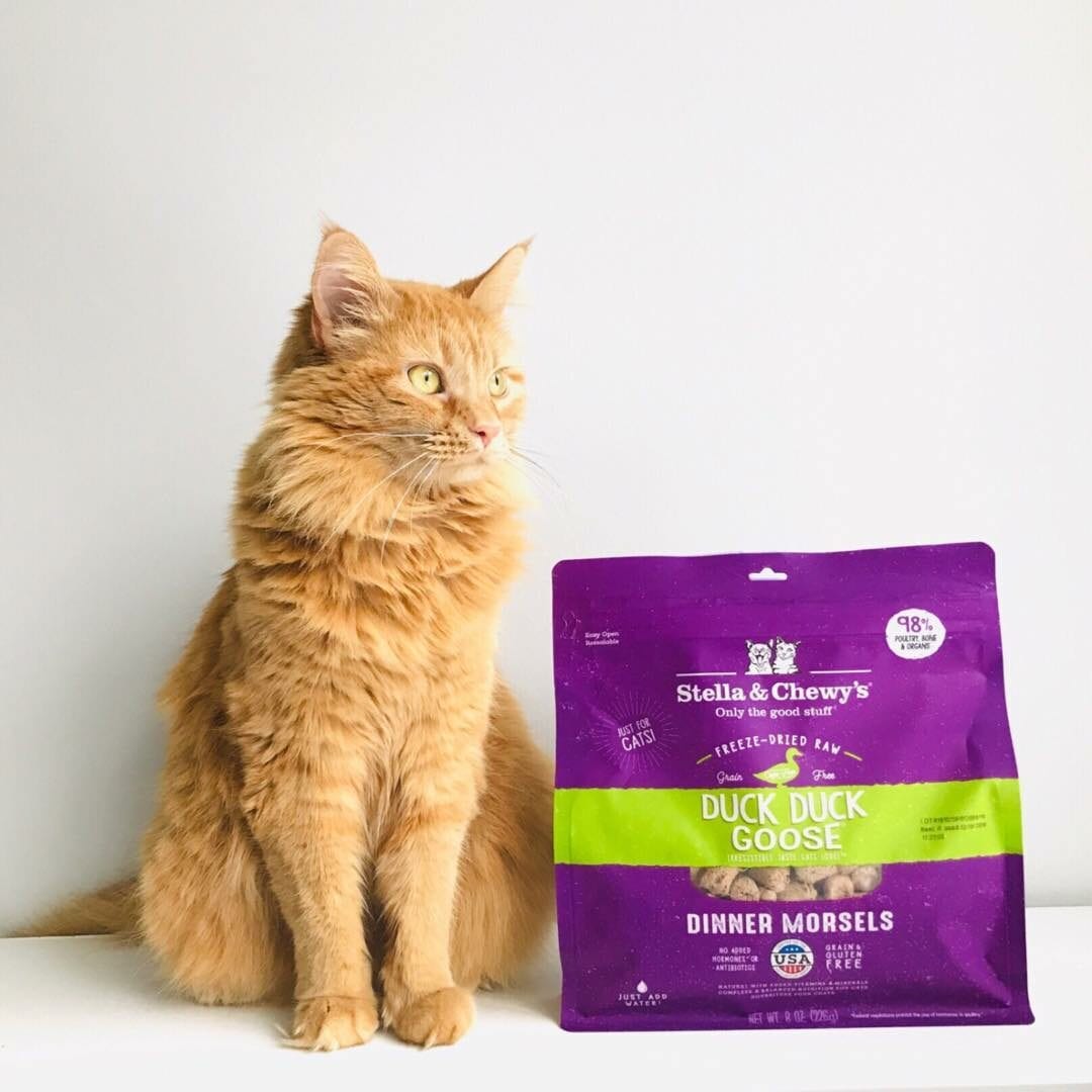 Stella & Chewy's Duck Duck Goose Dinner Freeze-Dried Cat Food - Mutts & Co.