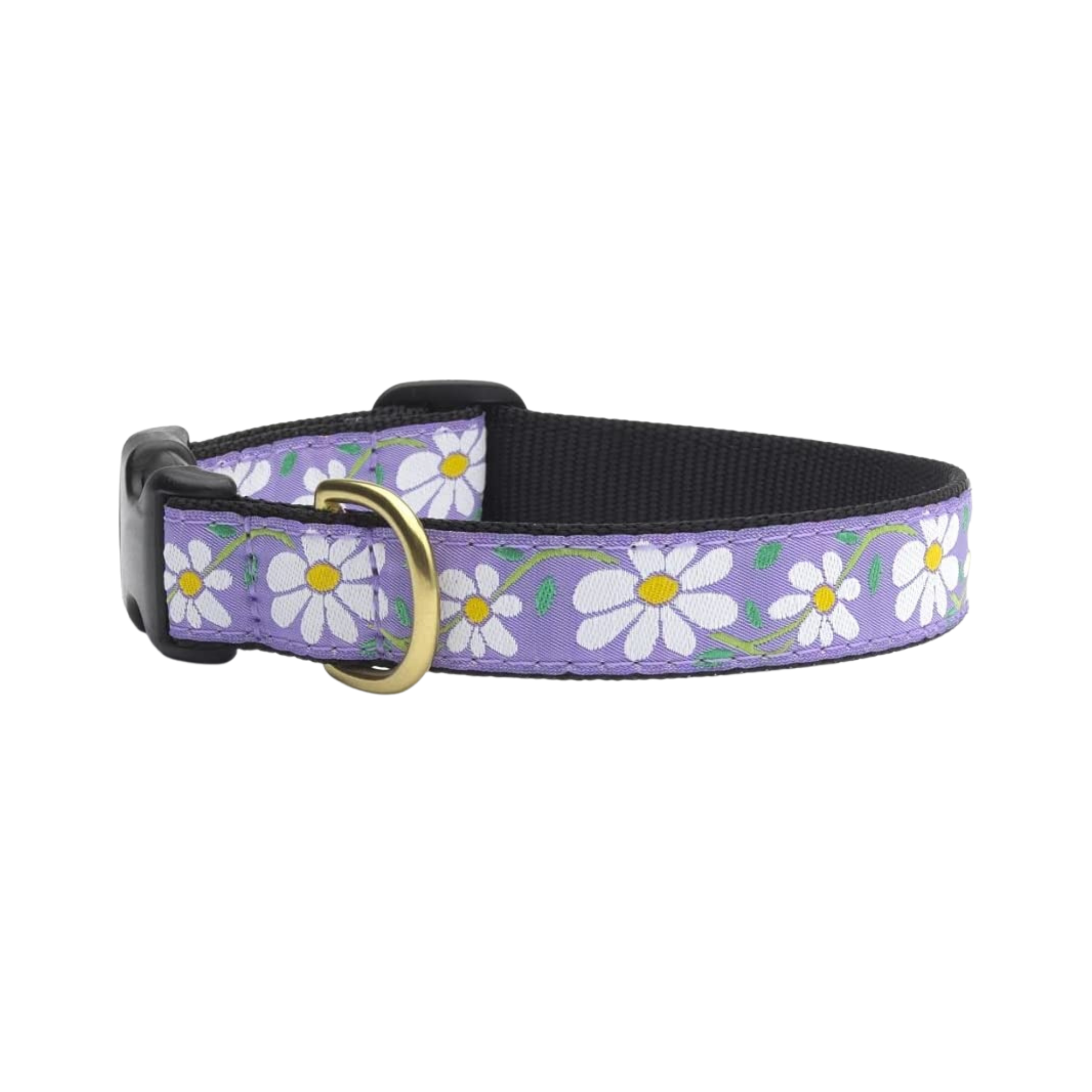 Up Country Daisy Dog Collar - Mutts & Co.