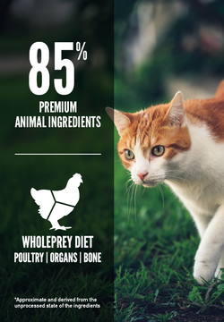 Orijen Fit and Trim Grain-Free Dry Cat Food - Mutts & Co.