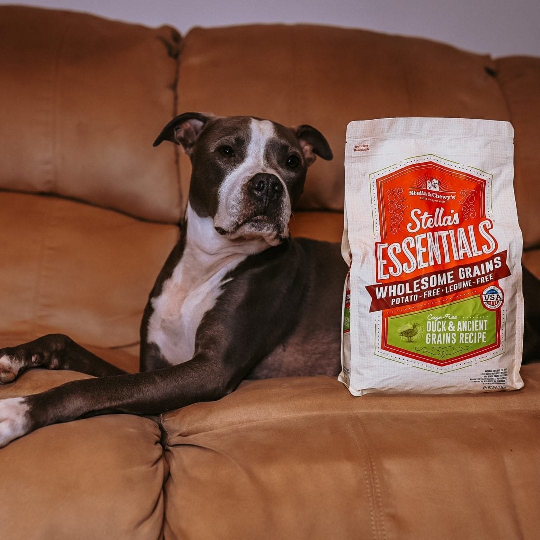Stella & Chewy's Essentials Cage-Free Duck & Ancient Grains Recipe Dog Food - Mutts & Co.