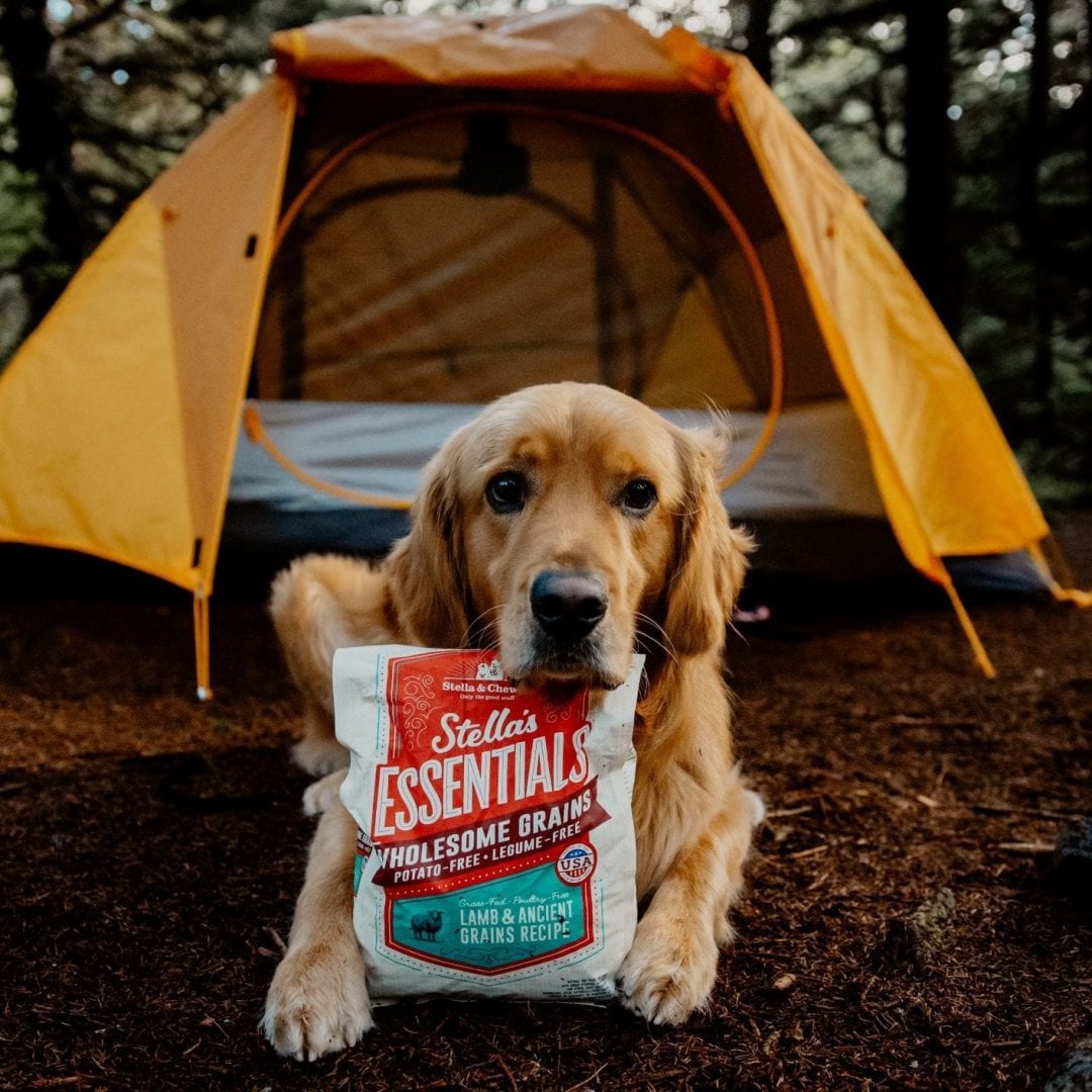 Stella & Chewy's Essentials Grass Fed Lamb & Ancient Grains Recipe Dog Food - Mutts & Co.