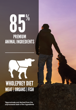 Orijen Regional Red Grain-Free Dry Dog Food - Mutts & Co.