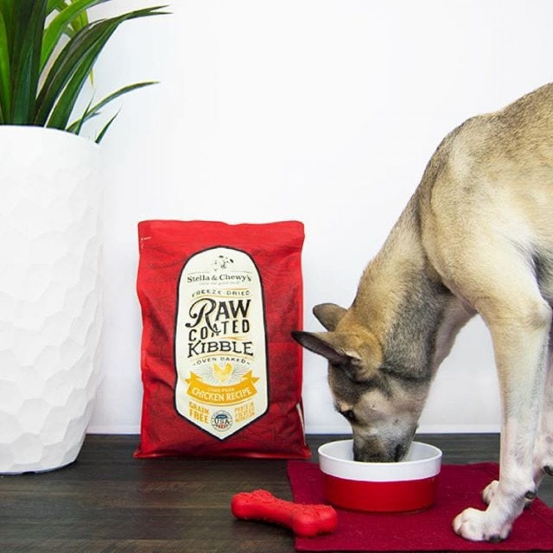 Stella & Chewy's Cage-Free Chicken Recipe Raw Coated Baked Kibble Dog Food - Mutts & Co.