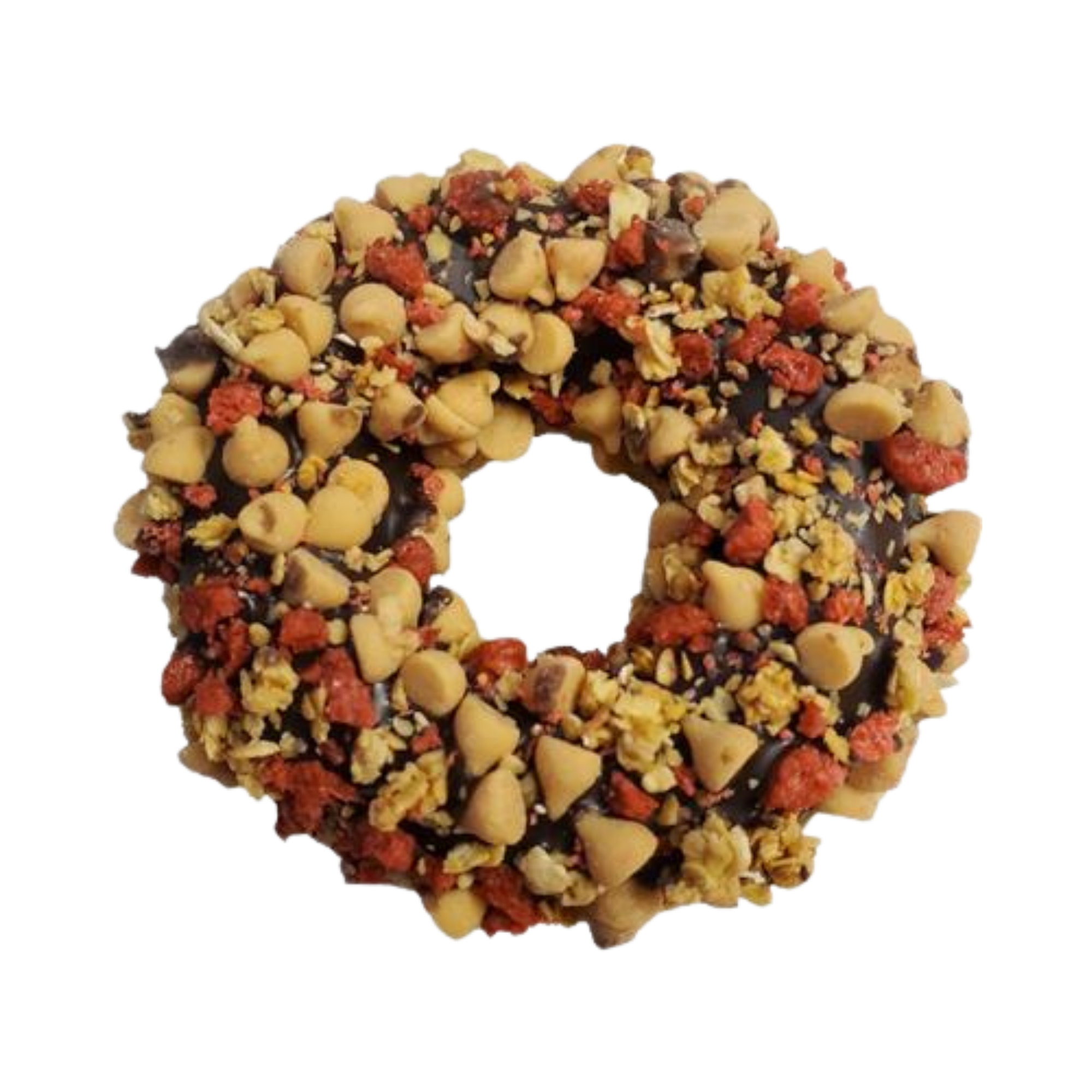K9 Granola Factory Gourmet Donut Carob Peanut Butter & Bacon Crunch Donut Dog Treat - Mutts & Co.