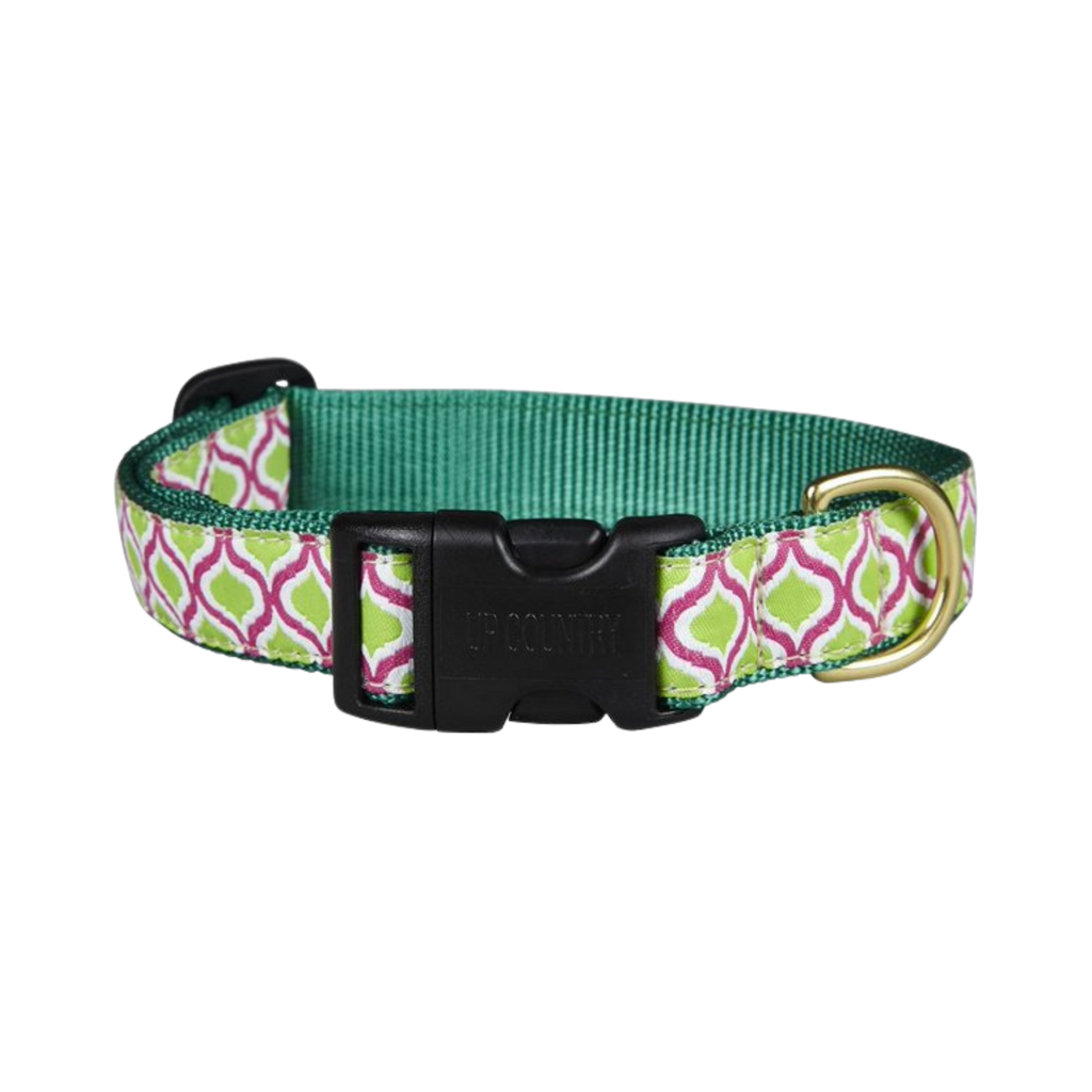 Up Country Bright Bones Martingale Dog Collar
