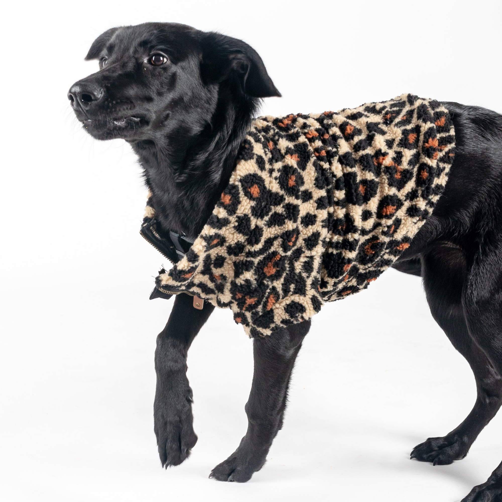 The Worthy Dog Quarter Zip Pullover- Tan Leopard - Mutts & Co.