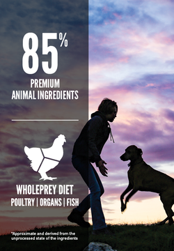 Orijen Puppy Large Breed Grain-Free Dry Dog Food - Mutts & Co.