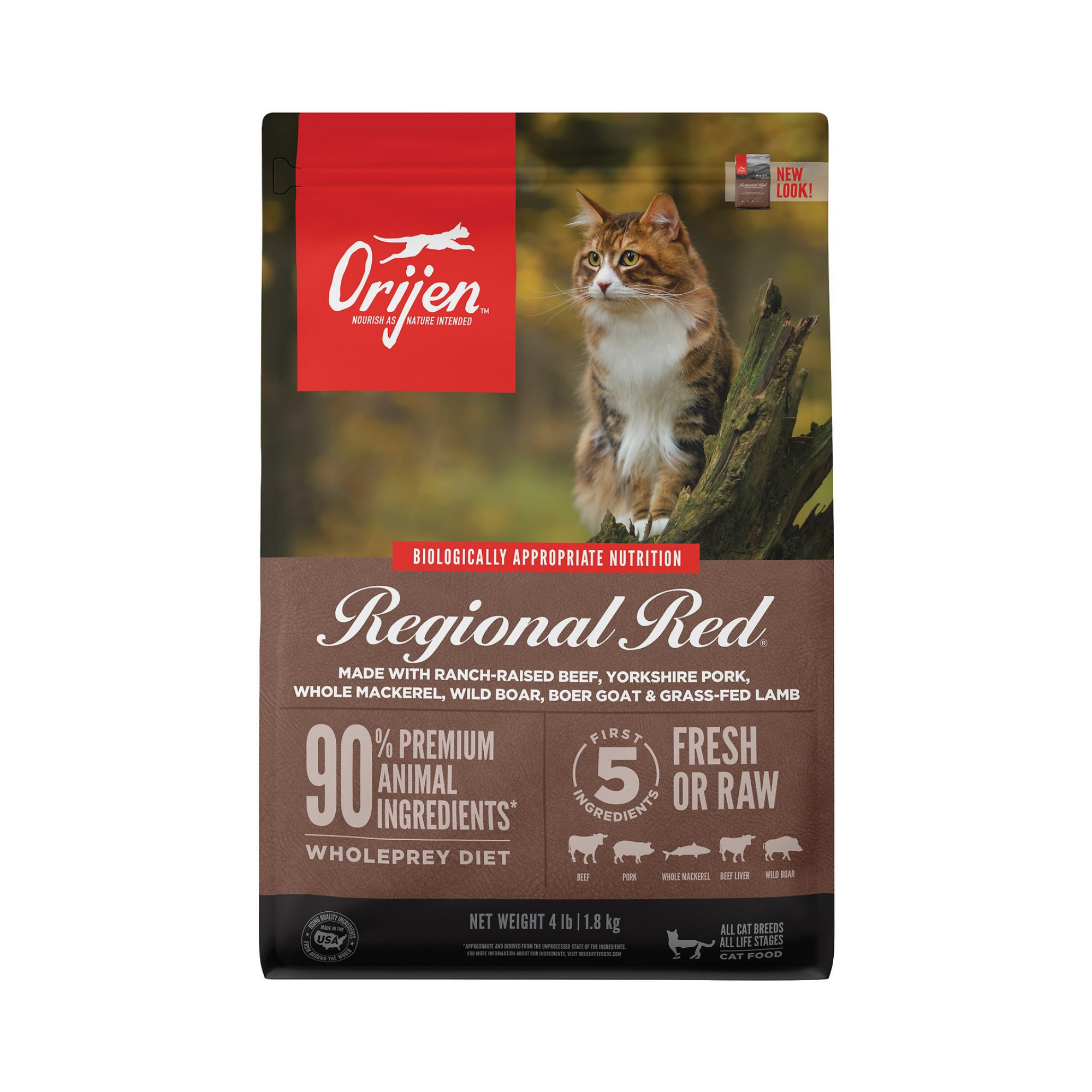 Orijen Regional Red Grain-Free Dry Cat Food - Mutts & Co.