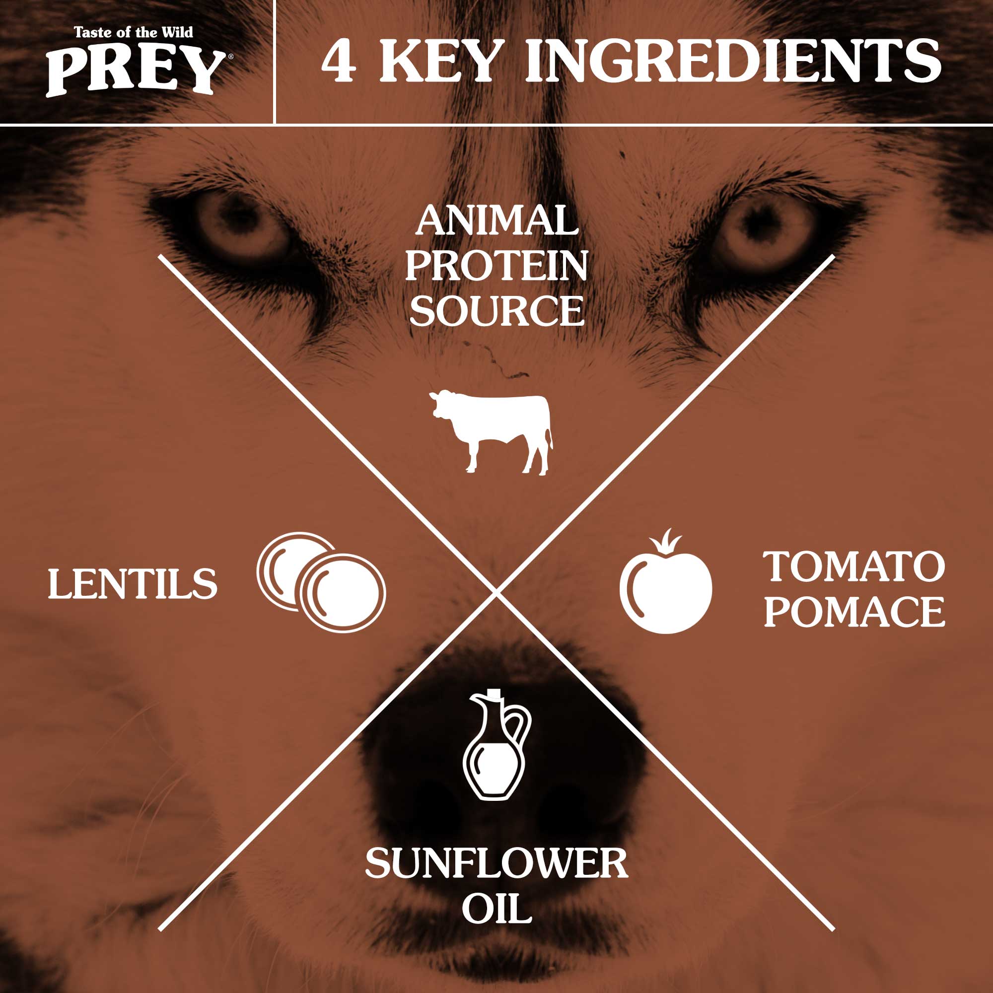 Prey angus clearance