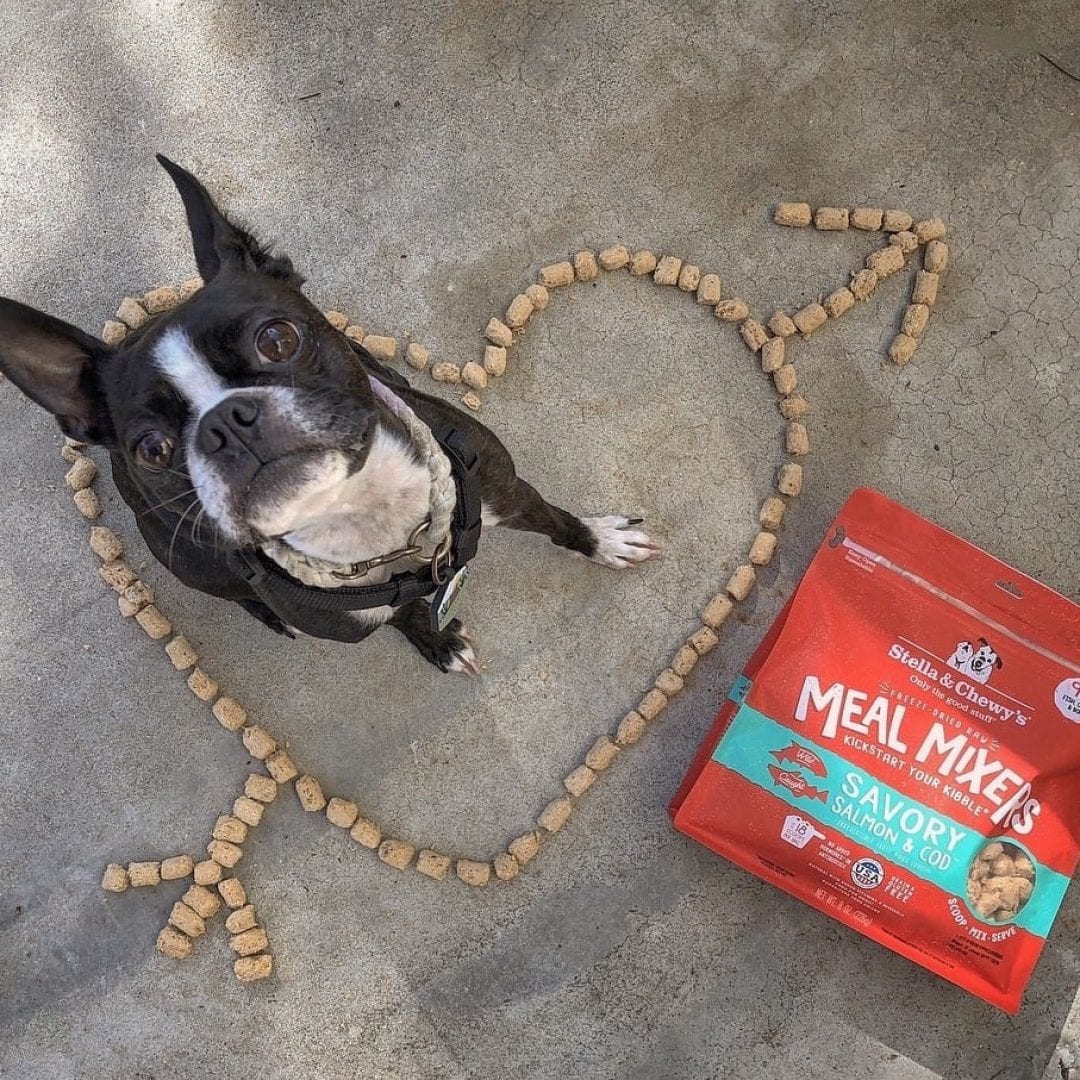 Stella & Chewy's Meal Mixers Savory Salmon & Cod Freeze-Dried Dog Food Topper - Mutts & Co.