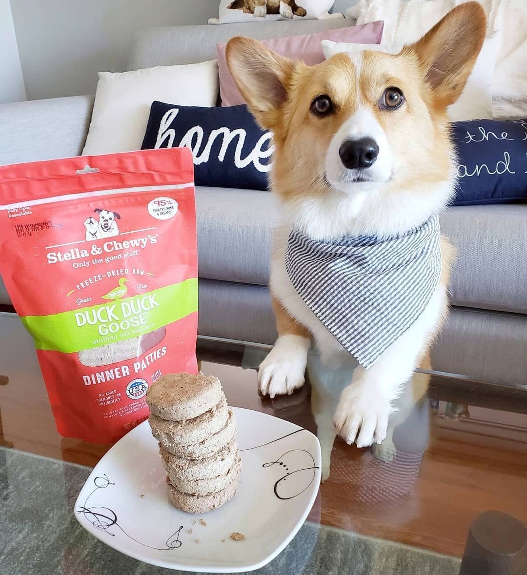 Stella Chewy s Duck Duck Goose Dinner Patties Freeze Dried Dog Food