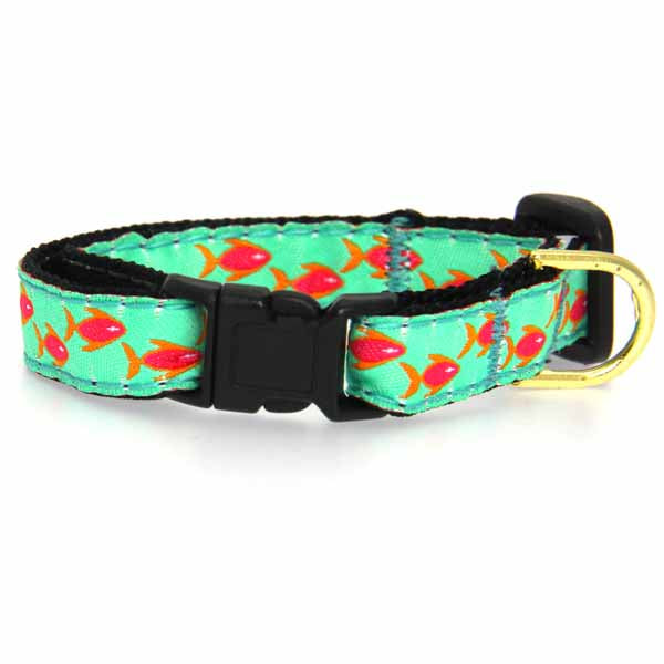 Up Country Tropical Fish Cat Collar - Mutts & Co.