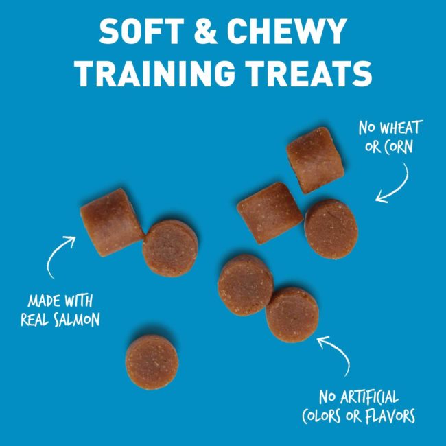 Cloud Star Chewy Tricky Trainers Dog Treats - Salmon Flavor, 5 Ounce Bag
