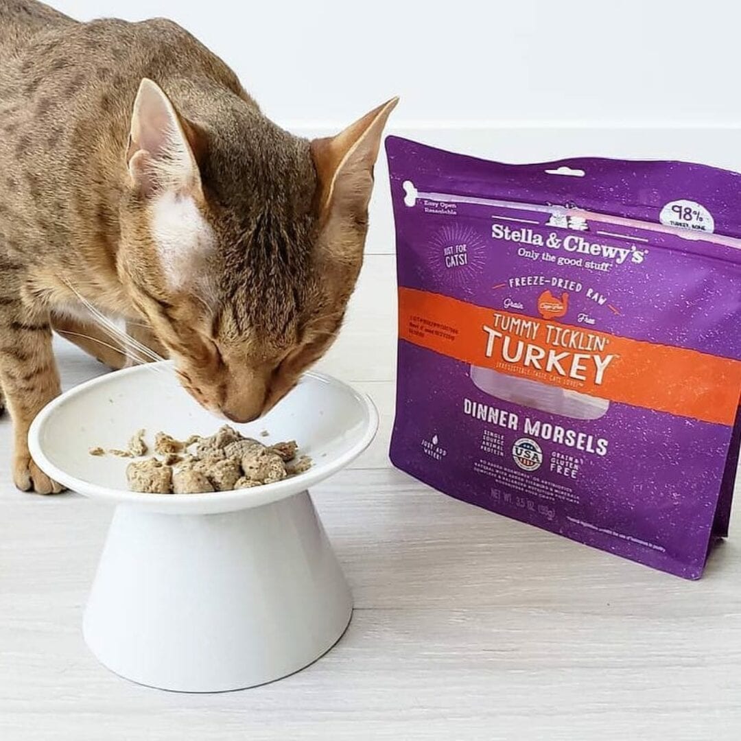 Stella Chewy s Tummy Ticklin Turkey Dinner Freeze Dried Cat Food