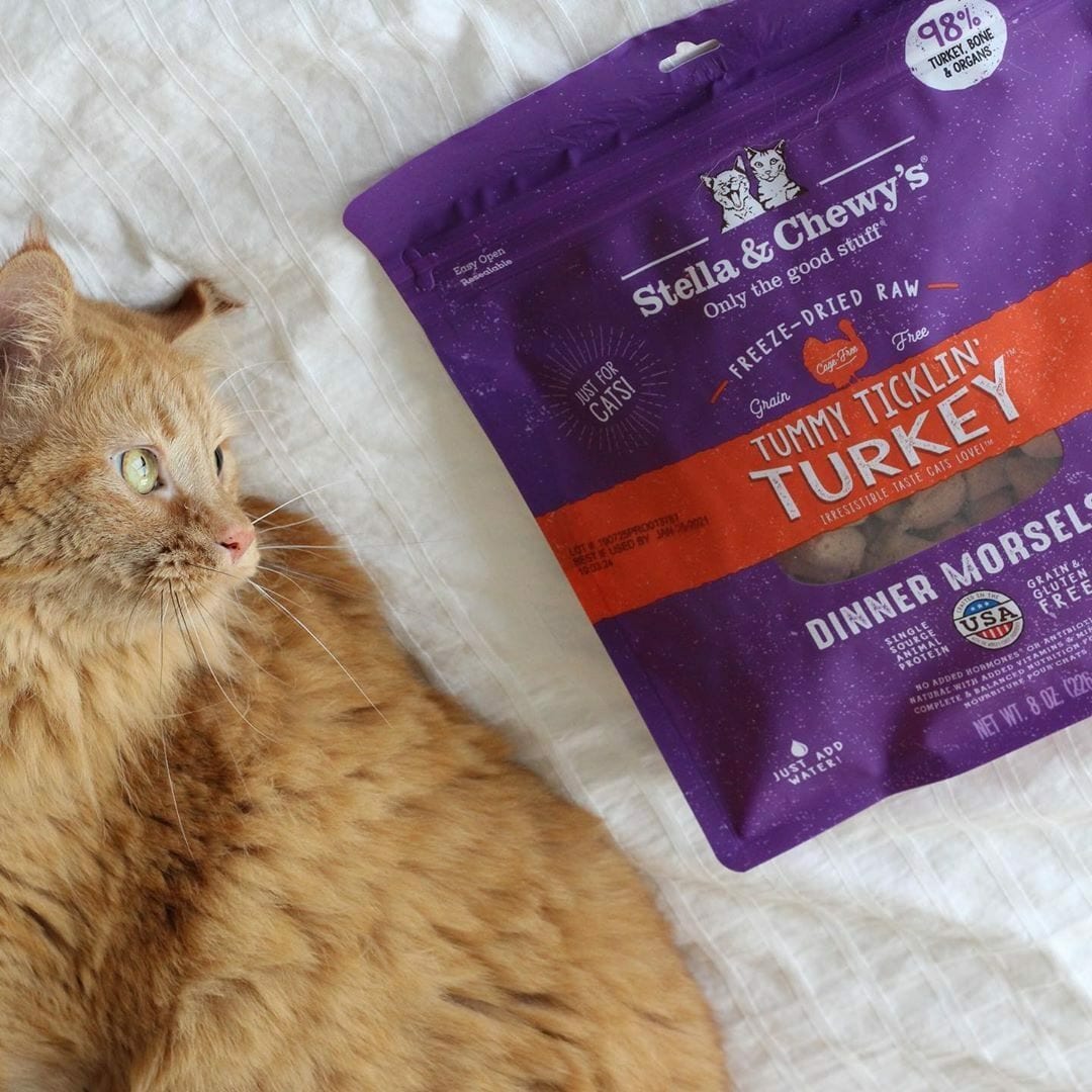 Stella & chewy's outlet freeze dried cat food