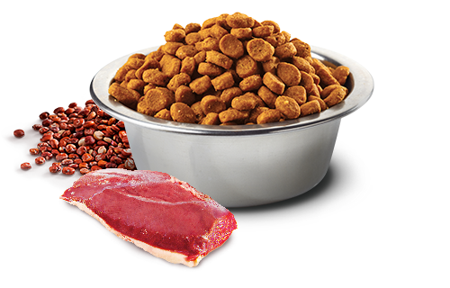 Farmina Quinoa Urinary Duck Formula Dry Cat Food