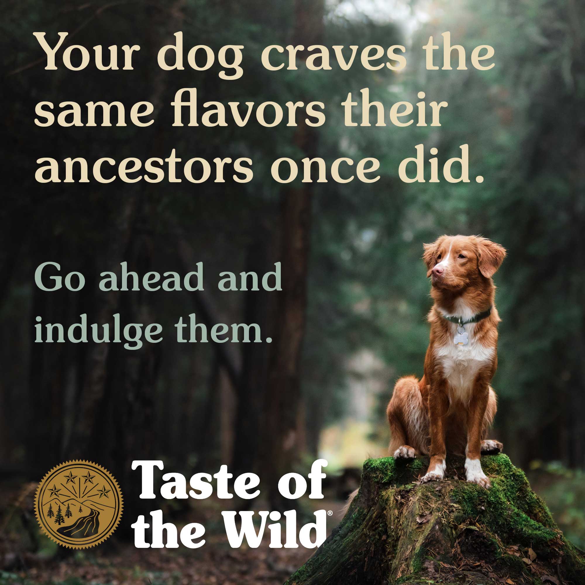 Taste Of The Wild Ancient Wetlands Dog Food - Mutts & Co.